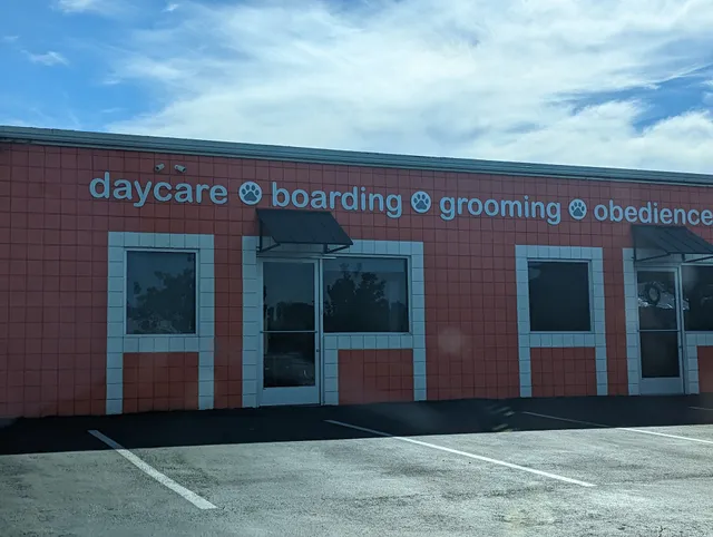 Camp Run-A-Mutt, Sorrento Valley