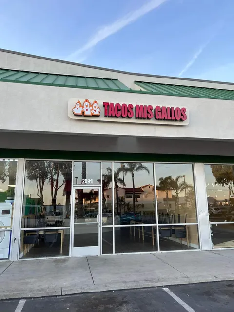 Tacos Mis Gallos