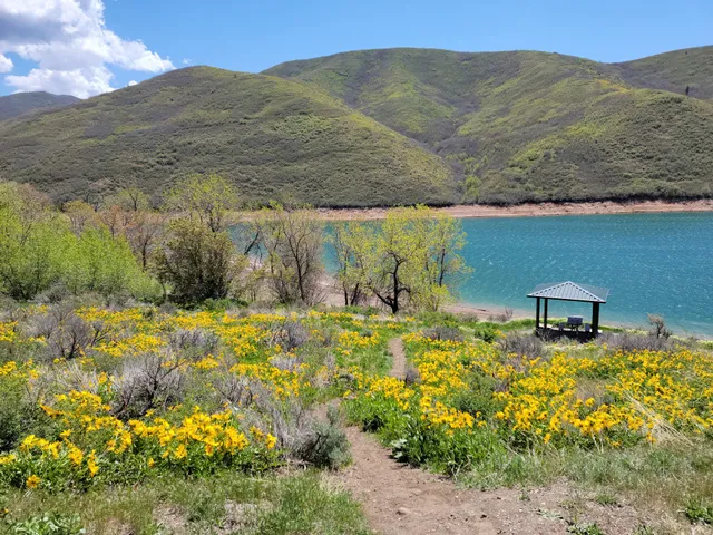 Little Dell Recreation Area