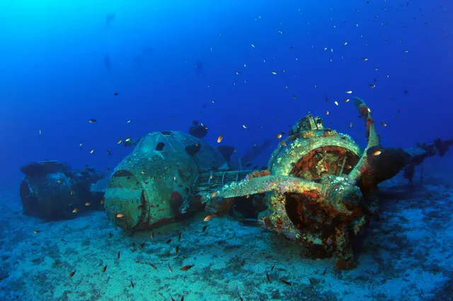 Blue Fin Divers Naxos Scuba Diving Center - PADI 5 Star IDC Resort