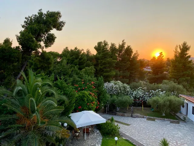 Ta Pefka apartments, Sithonia - Halkidiki