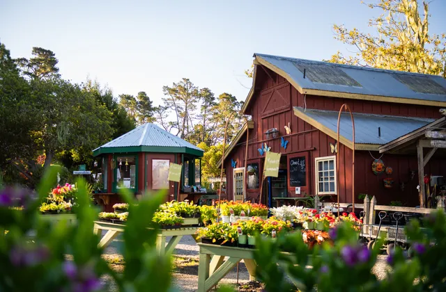 Cambria Nursery and Florist