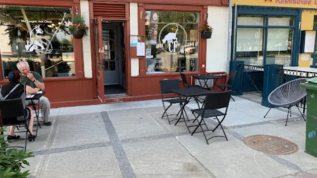 Café Félin Ma Langue Aux Chats