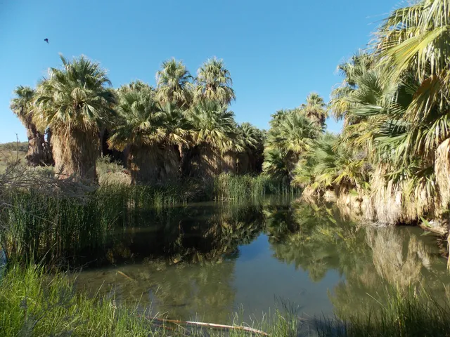 Indio Hills Palms Park Property