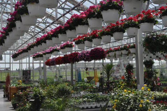 Canoyer Garden Center