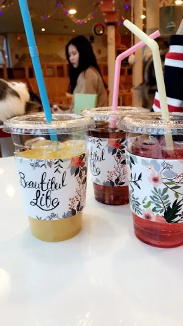 고양이별 작은 아이