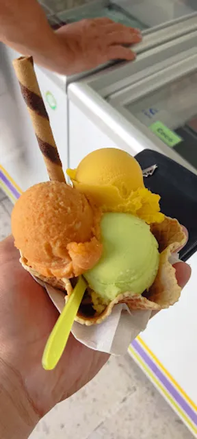 Paleteria y Neveria Zünza