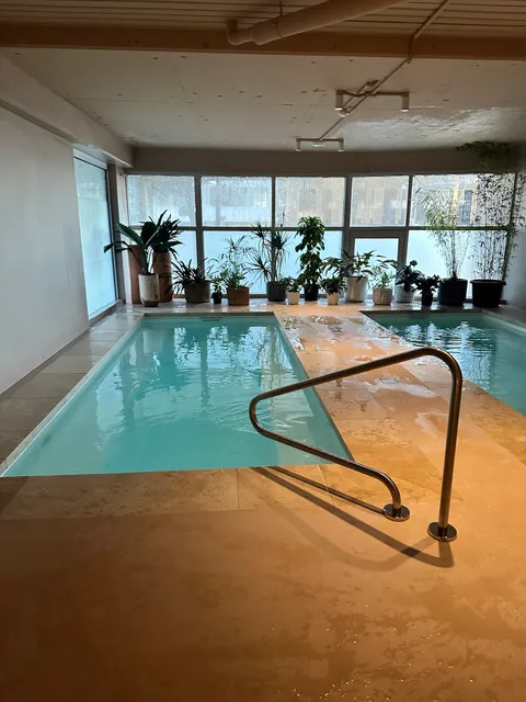 Wellness Social Club