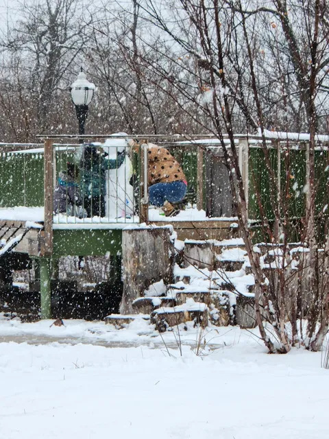 Dan Ryan Woods Nature Play Garden