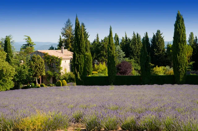SERENITY PROVENCE