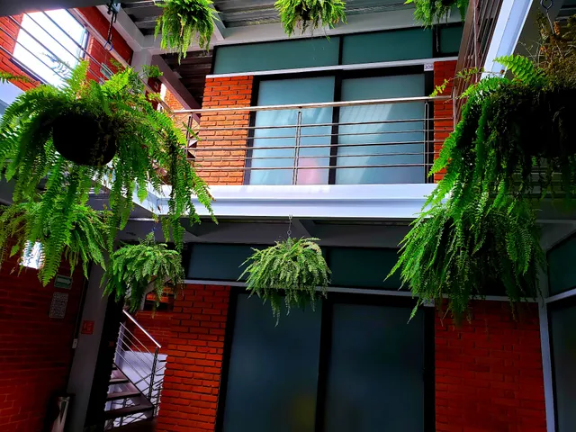 Terraza del Alférez