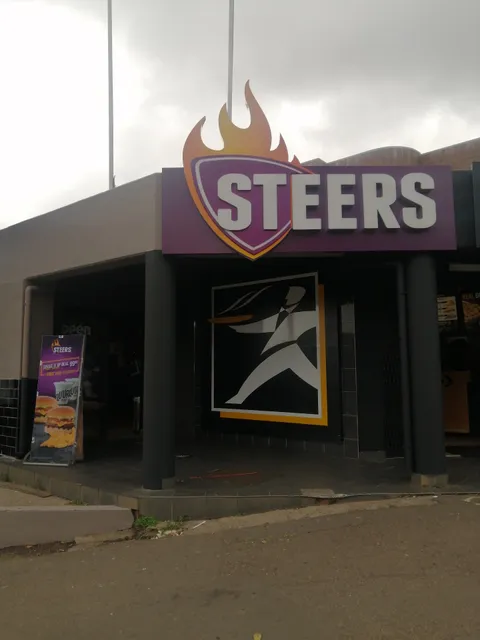 Steers