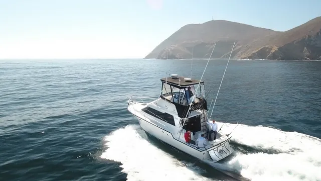 Fish Hunter Charters