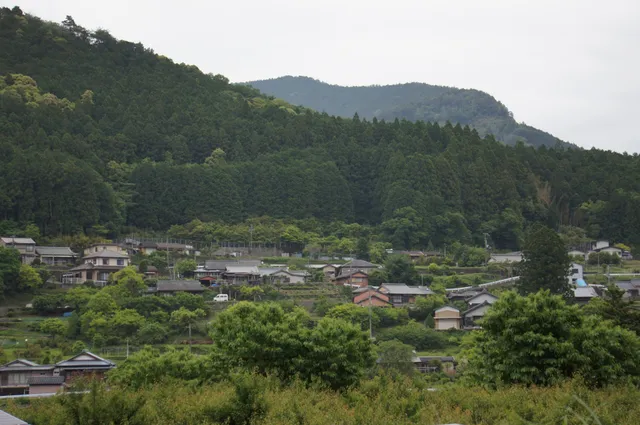 Happiness Chikatsuyu