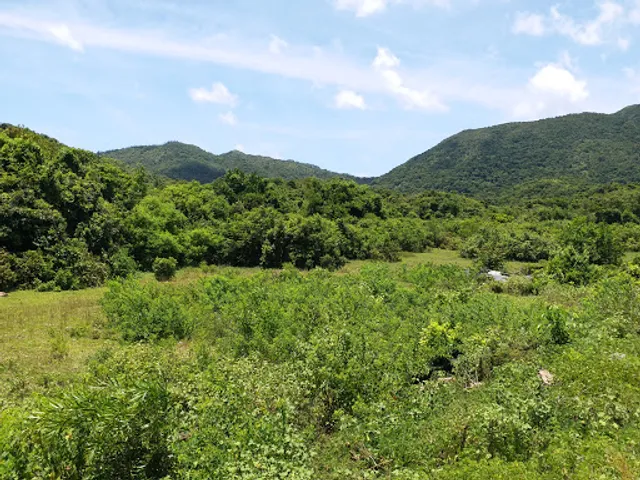 Ko Tong Ha Yeung Public Toilet