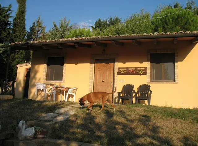 B&B Il Podere del Nonno