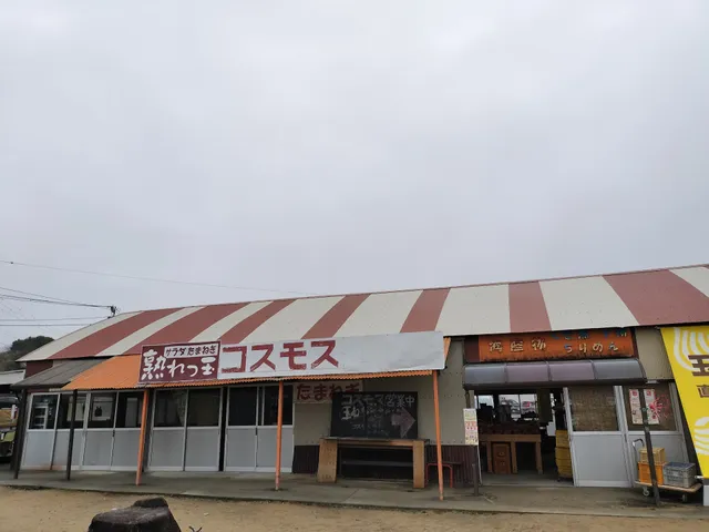 アワヂカラ 産直コスモス