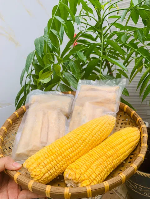 Vegan Tâm Thiện Online