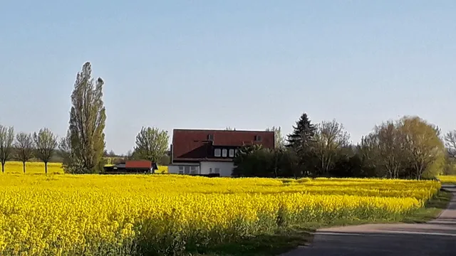 Ferienhaus "Kleckerburg"