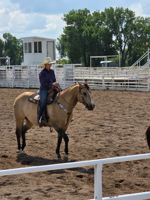 Sheridan County Fairground