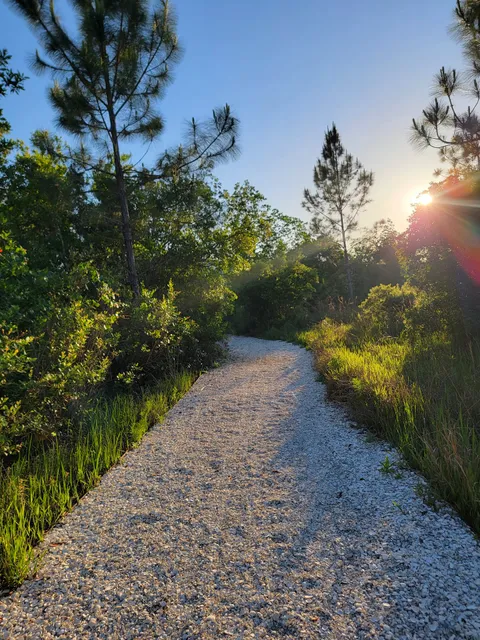 Laureate Park Nature Trailhead (Phase 10)