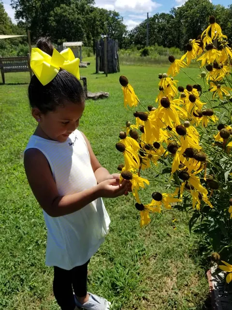 Wildcat Glades Friends Group