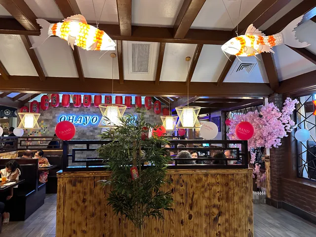 Ohayo Sushi