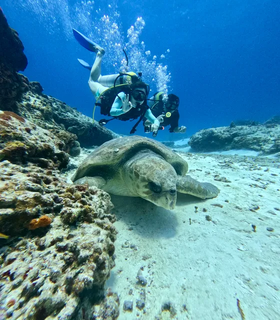 Eco Divers Cozumel