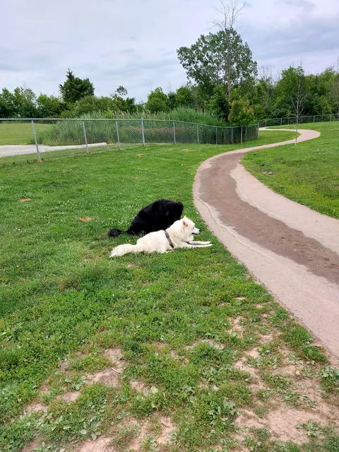 Niagara Falls Bark Park