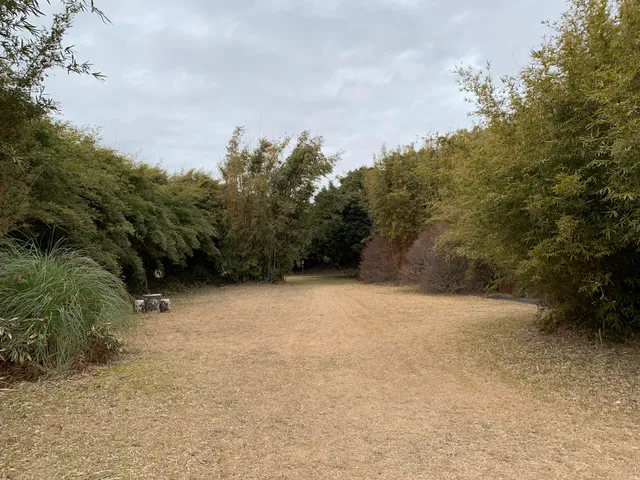 photo-2