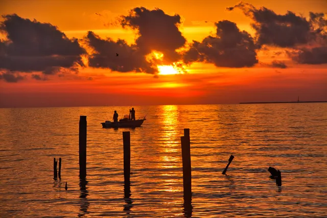 Seabrook Seafood Inc