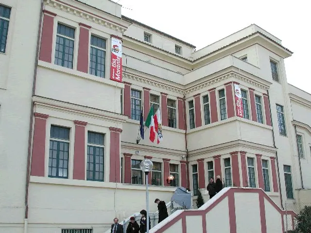 Elsa Morante Library