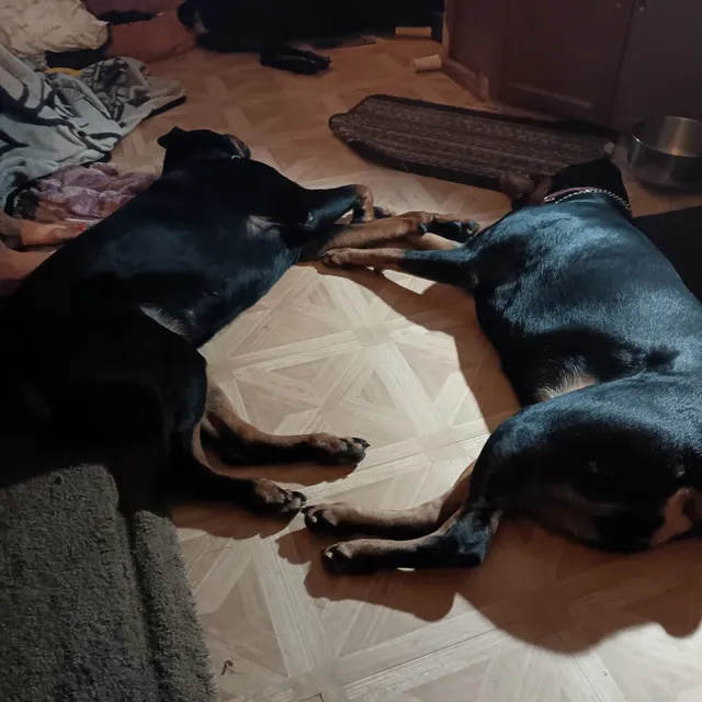 Greenwood County Fairgrounds