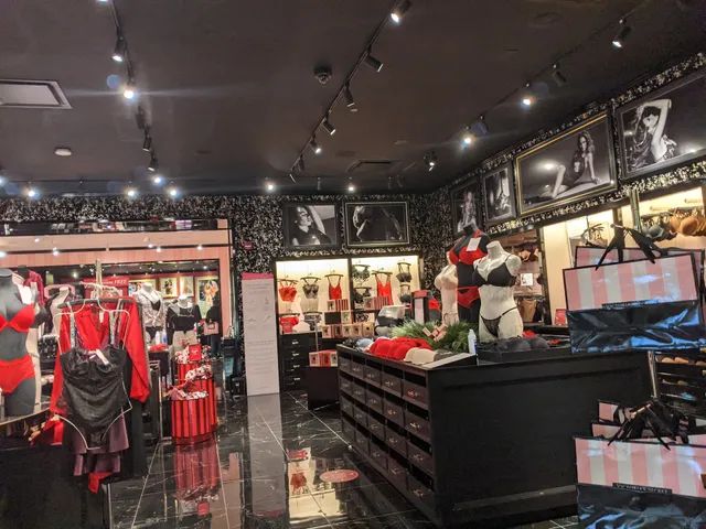 Victoria's Secret & PINK