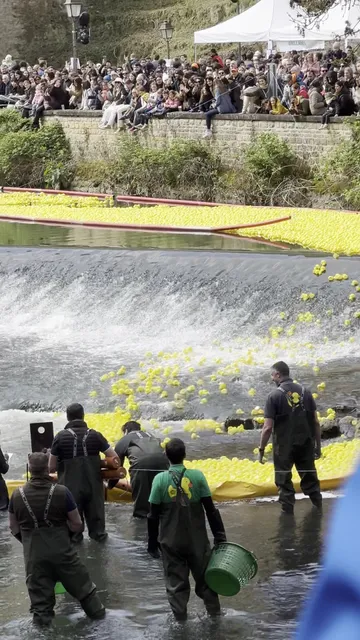 Duck Race RT Luxembourg
