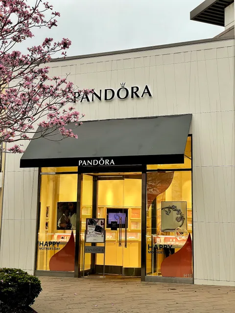 Pandora Jewelry