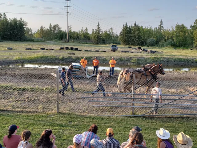 Northern Minnesota District Fair