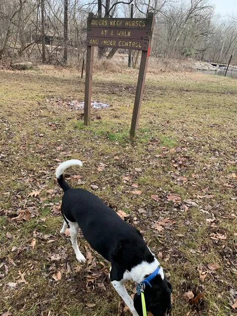 Tyler State Park Main Office and Classroom