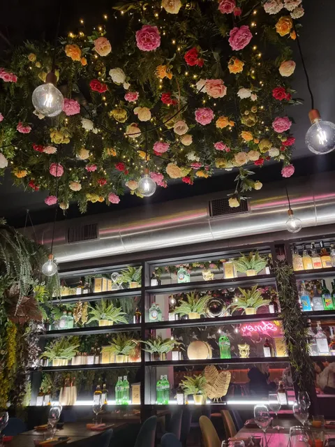 Amazonia piazza bologna