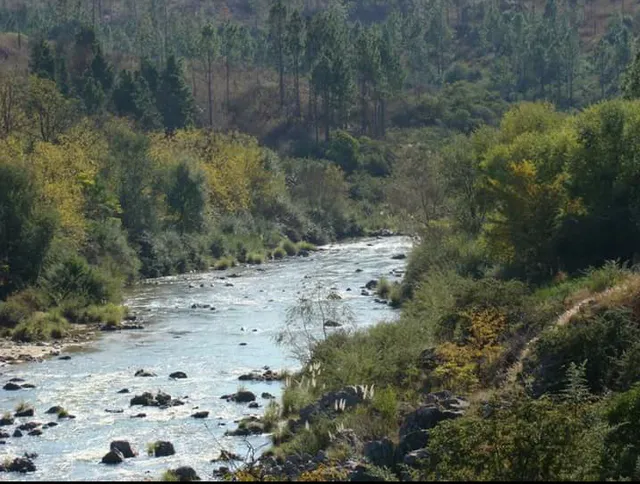 Cabañas Terrazas Del Rio