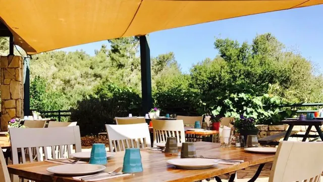 Bar Bahar In Mate Yehuda Regional Council Israel Reviews open Hours 