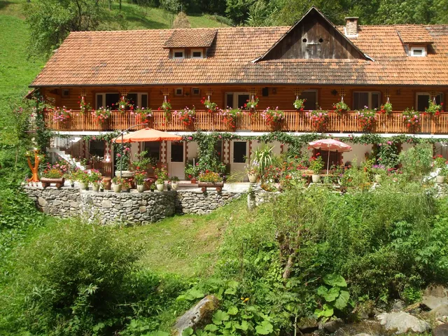 Cabana Buruia - Punct Gastronomic