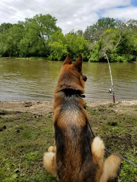 North Aurora Island Park