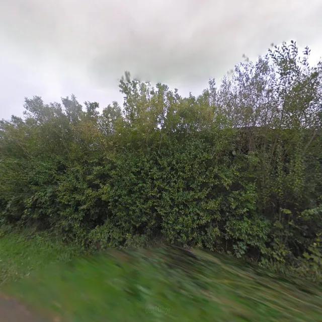 Honeysuckle &Sunnymead Cottages