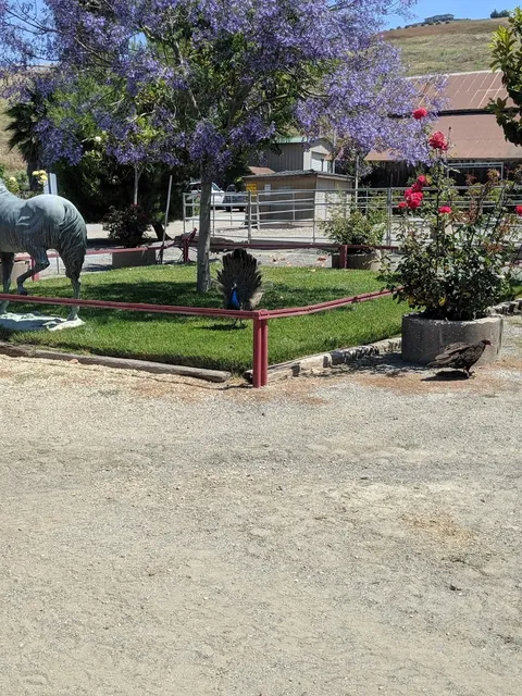 Whispering Hills Horse Ranch