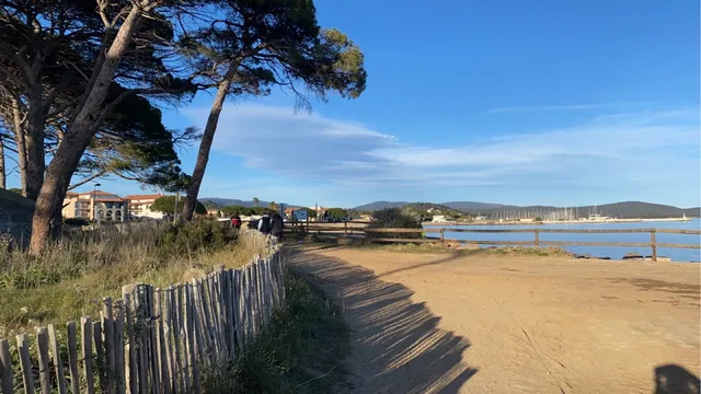 La conciergerie des palmiers