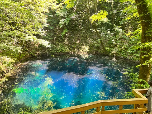 Jūnikō Lake natural recuperation forest
