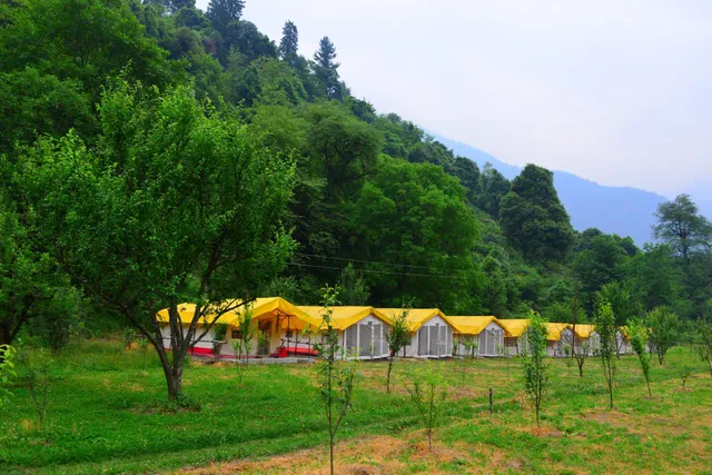 In Wild Himalaya Camp- Manali