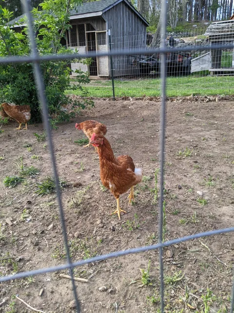 Organic Roots Farm at Popover Hill