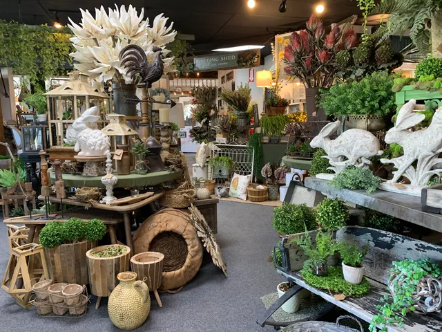 American Elm Co. 65079 Sunrise Beach